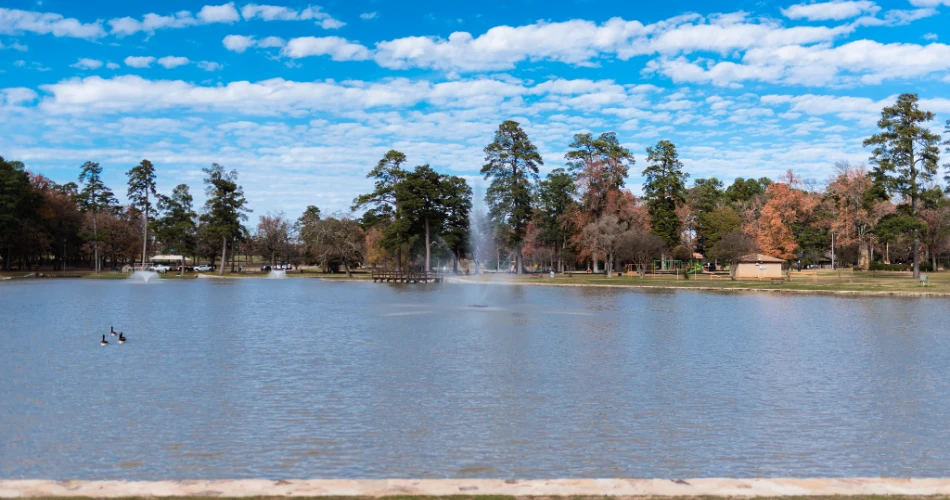 10 Best Things to Do in Texarkana