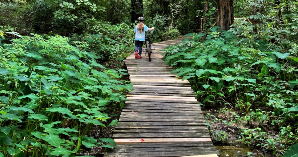 10 Best Things to Do in Texarkana