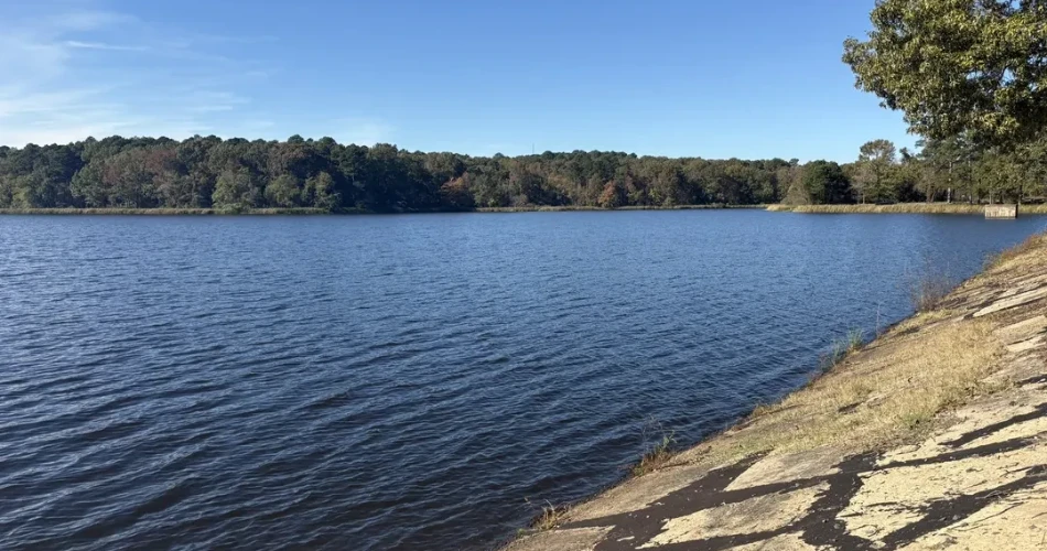 17 Best Things to Do in Texarkana, TX — Top Activities & Places to Go!