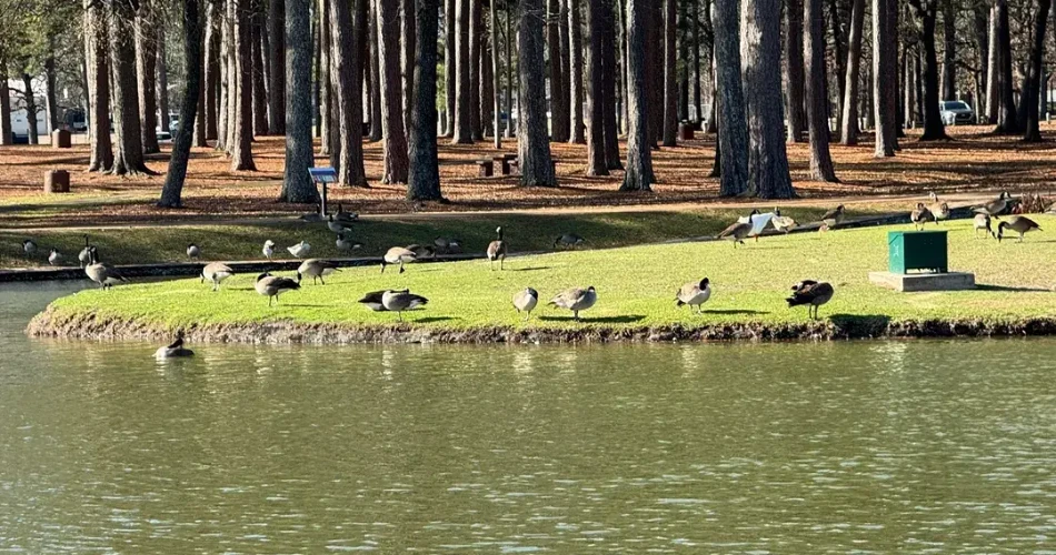 17 Best Things to Do in Texarkana, TX — Top Activities & Places to Go!